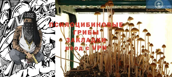 шишки Алексин