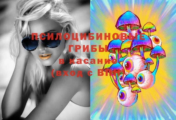 шишки Алексин