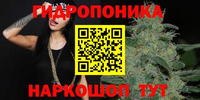 бошки Абакан