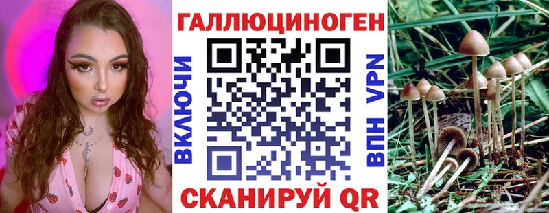 купить закладку  Балабаново  Псилоцибиновые грибы Psilocybine cubensis 