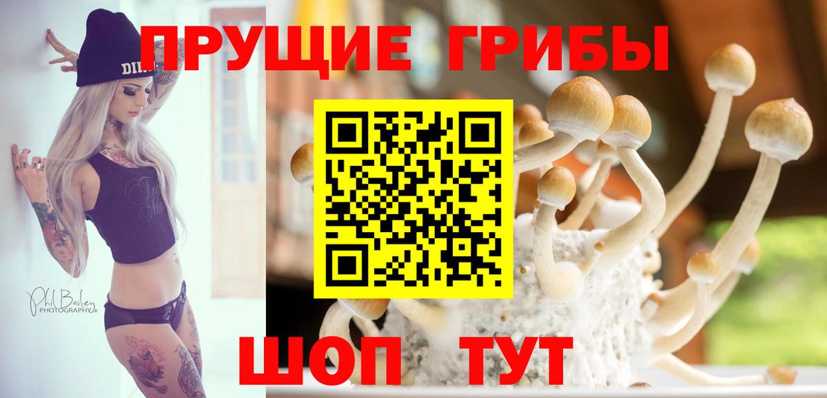 Галлюциногенные грибы мицелий  Вход с VPN  Балабаново 